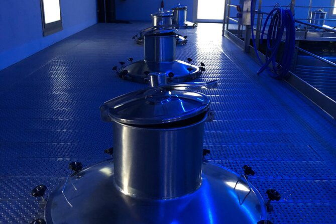 ribera-del-duero-2-winery-visits-and-transport-from-madrid