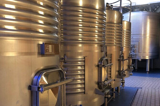 ribera-del-duero-2-winery-visits-and-transport-from-madrid