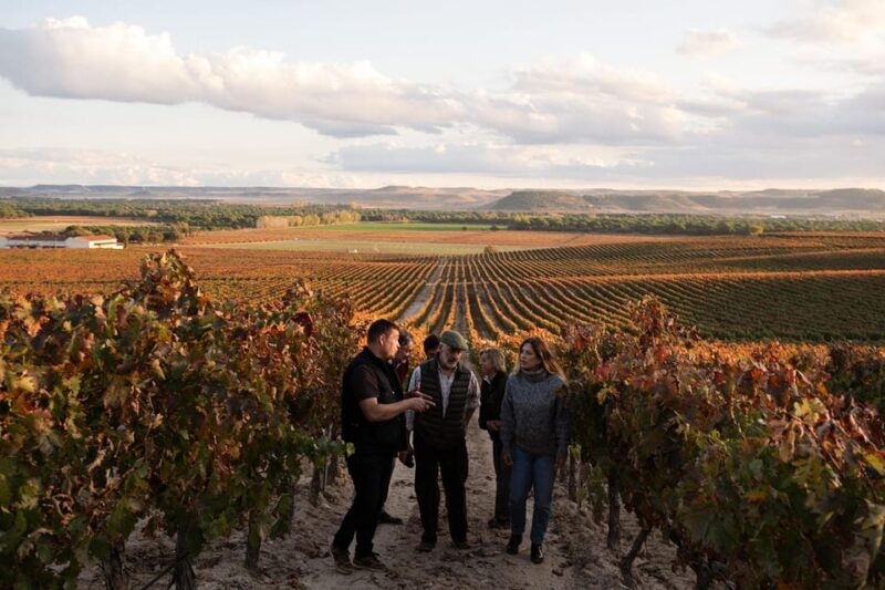 ribera-del-duero-experience-vineyard-and-4x4-mountain-aperitif-and-tasting