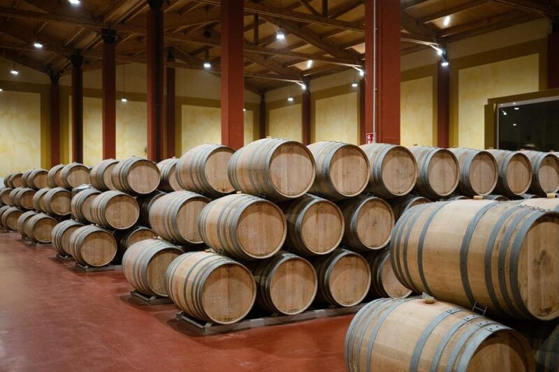 ribera-del-duero-experience-vineyard-and-4x4-mountain-aperitif-and-tasting