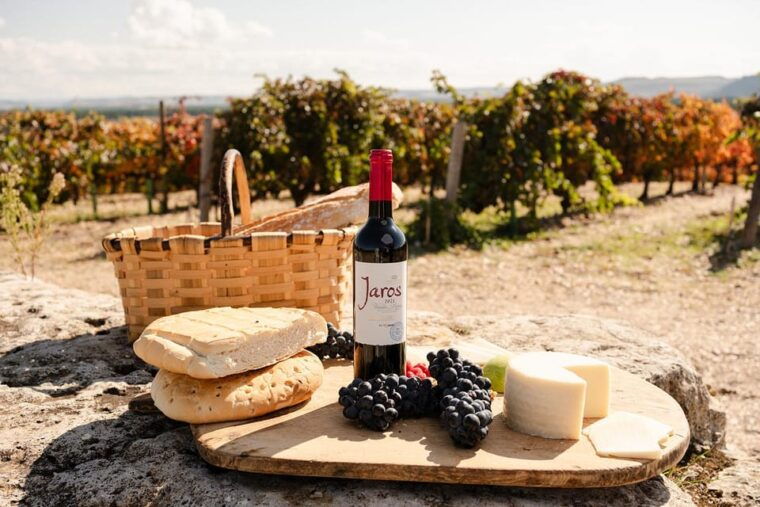 ribera-del-duero-experience-vineyard-and-4x4-mountain-aperitif-and-tasting