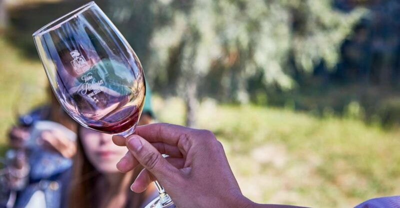 ribera-del-duero-red-wine-discovery-tour-with-tastings