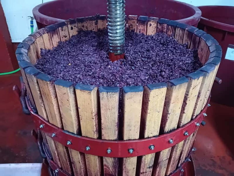 Ribera del Duero Tour: 2 Wineries with Transport from Madrid - Final Thoughts