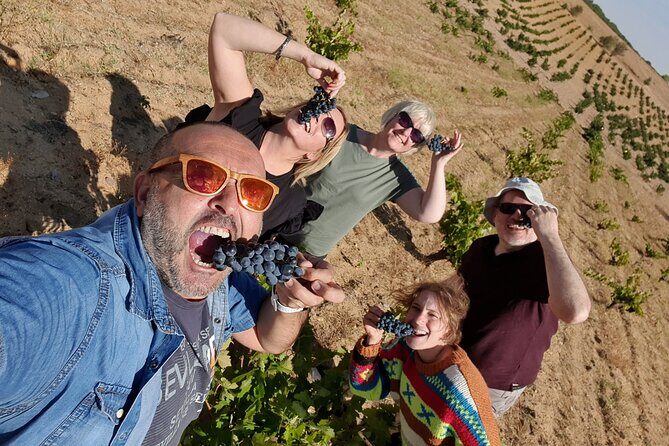 Ribera del Duero Tour: 4 Wineries Visit, Wine Tasting & Lunch - Is the Price Worth It?