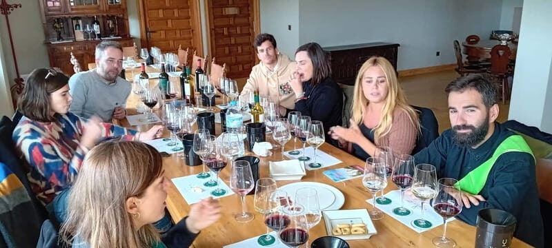 Ribera del Duero Tour: Three Wineries & Lunch from Madrid - Introduction to the Ribera del Duero Experience
