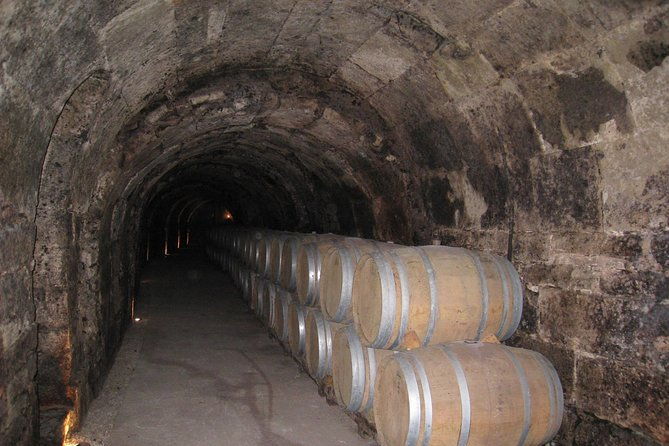 ribera-del-duero-wineries-guided-tour-wine-tasting-from-madrid