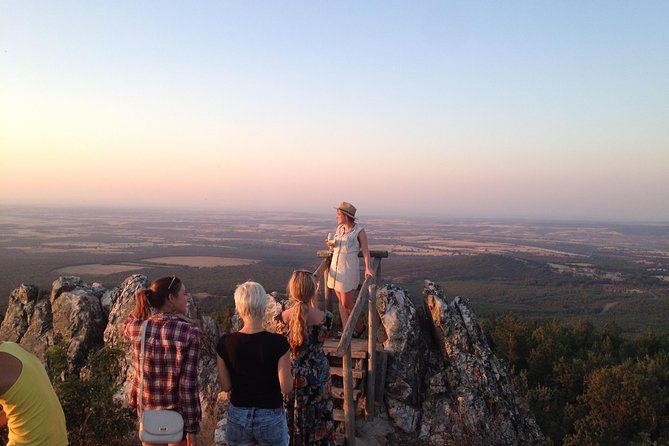 ribera-del-duero-winery-guided-tour-and-wine-tasting-from-madrid