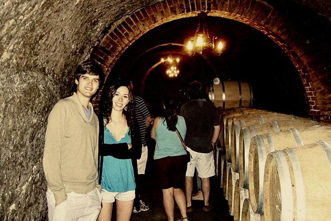 ribera-del-duero-winery-guided-tour-and-wine-tasting-from-madrid