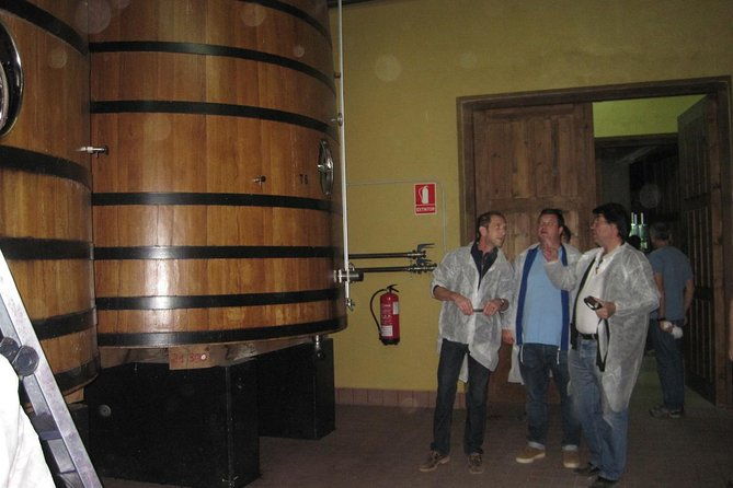 ribera-del-duero-winery-guided-tour-and-wine-tasting-from-madrid