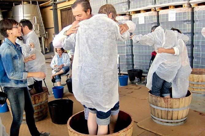 ribera-del-duero-winery-guided-tour-and-wine-tasting-from-madrid