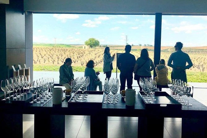 ribera-del-duero-winery-guided-tour-and-wine-tasting-from-madrid