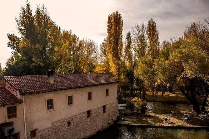 ribera-del-duero-winery-guided-tour-and-wine-tasting-from-madrid