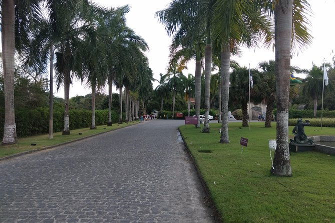 ricardo-brennand-institute-with-transfer-from-recife
