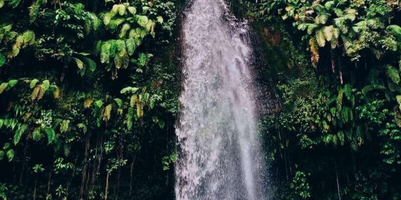 rice-field-benang-kelambu-benang-stokel-waterfall-trip