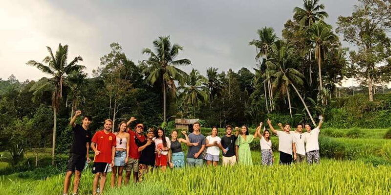 rice-field-benang-kelambu-benang-stokel-waterfall-trip