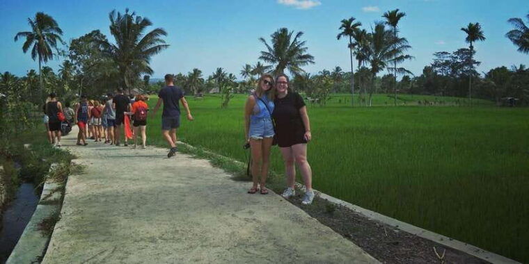 rice-field-benang-kelambu-benang-stokel-waterfall-trip