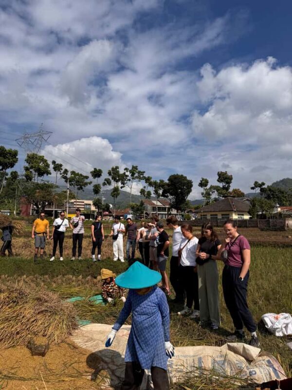 Rice Fields, Coffee plantation, White Crater, & Hot Springs - Frequently Asked Questions (FAQs)