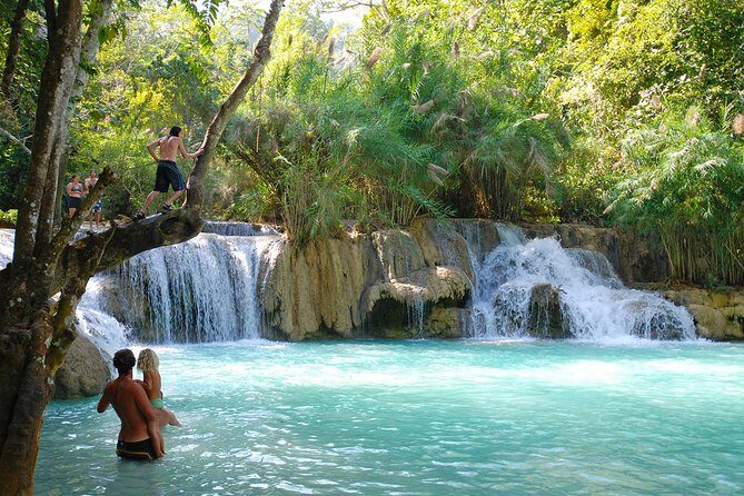Rice is Life Experience & Kuang Si Waterfall - Luang Prabang full day tour - What the Tour Entails: A Deep Dive