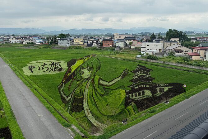 Rice Paddy Art and Apple Picking Full day Private Tour - Practical Aspects and Value