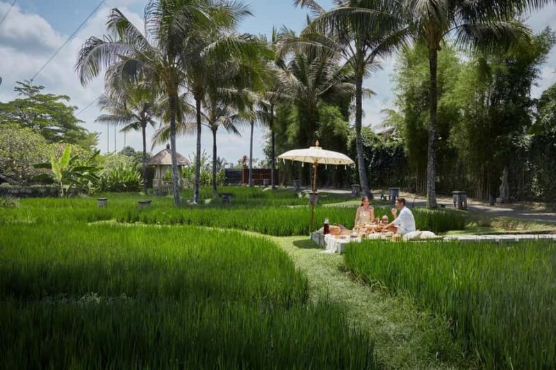 Rice Paddy Elegance: Gourmet Breakfast or High Tea in Ubud - Rice Paddy Elegance: Gourmet Breakfast or High Tea in Ubud