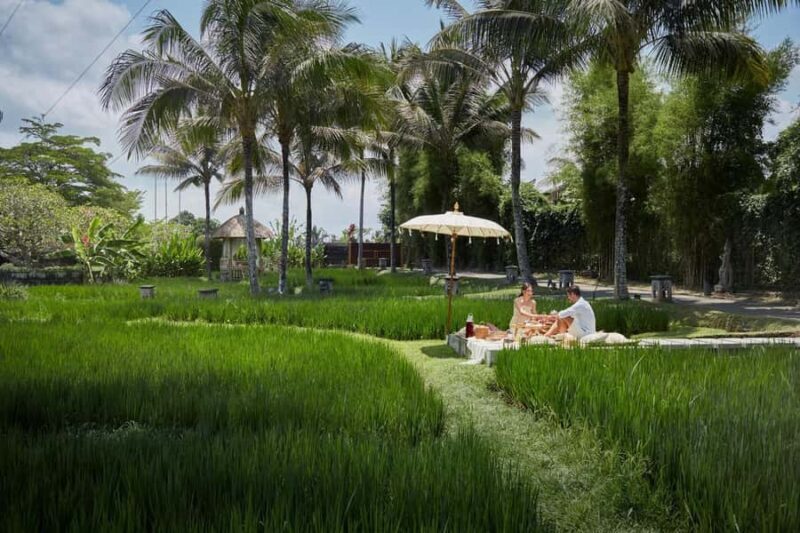 Rice Paddy Elegance: Gourmet Breakfast or High Tea in Ubud - Who Would Love This?