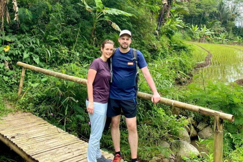 rice-terraces-selogriyo-temple-private-tour