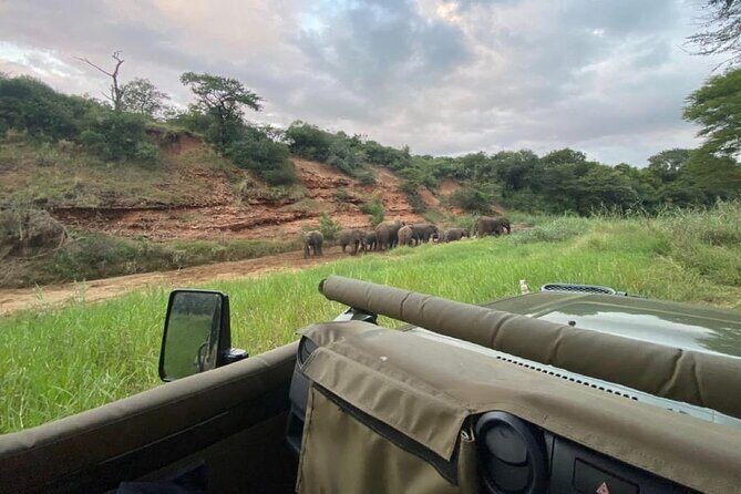 Richards Bay: Big 5 Luxury Safari at Manyoni Private Game Reserve - What Sets Manyoni Apart?