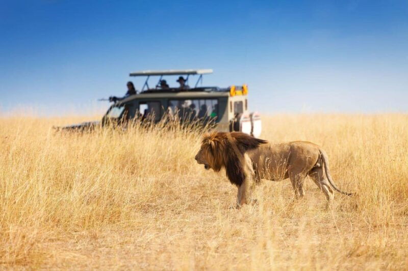 richards-bay-hluhluwe-imfolozi-game-reserve-half-day-tour