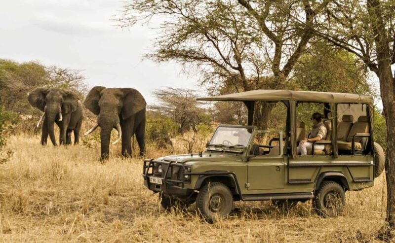 richards-bay-hluhluwe-imfolozi-game-reserve-half-day-tour