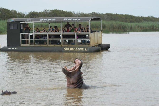 Richards Bay Shore Excursion: Small Group Hluhluwe & St Lucia - Key Points