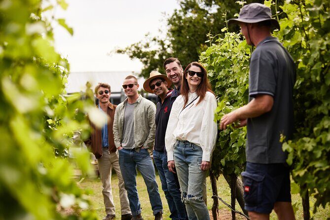 Richmond and Wine Tour - What to Expect from the Richmond and Wine Tour