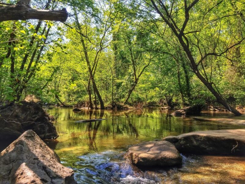 Richmond: Guided Hike in James River Park - Starting Point and First Impressions