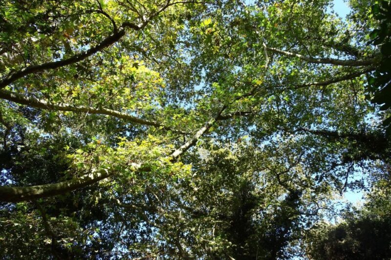 Richtis Gorge Private Guided Hiking Tour - The Experience in Detail: Authentic and Practical