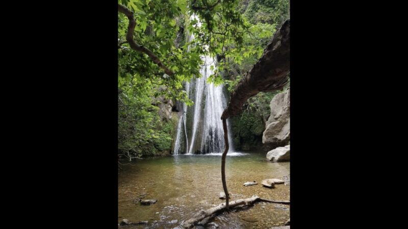 richtis-waterfall-and-north-coast-tour