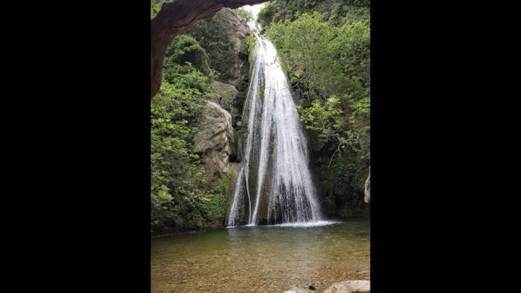 richtis-waterfall-and-north-coast-tour
