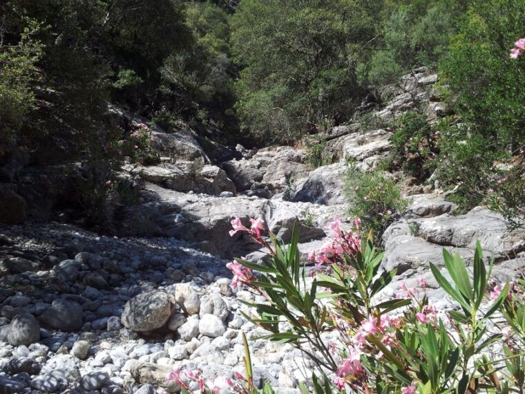 richtis-waterfall-and-north-coast-tour