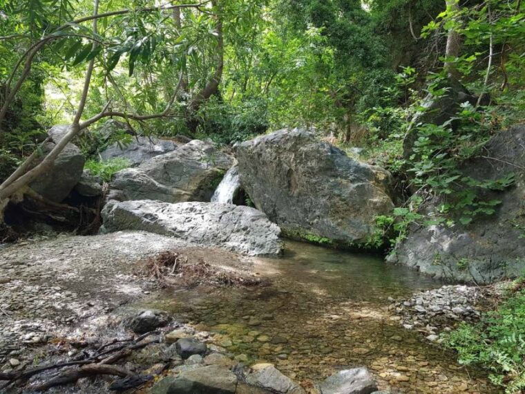 richtis-waterfall-and-north-coast-tour