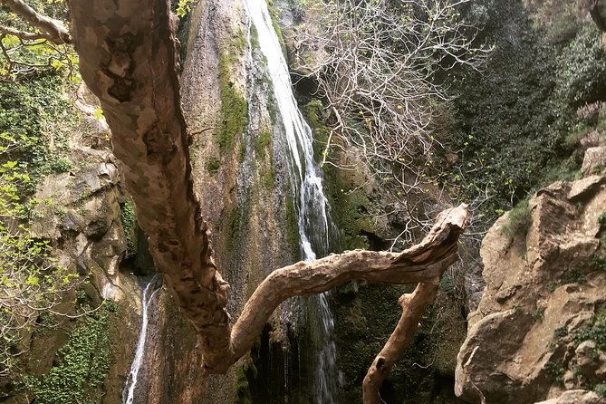 richtis-waterfall-minoan-history-oldest-tree-north-coast-luxury-adventure