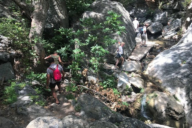 richtis-waterfall-minoan-history-oldest-tree-north-coast-luxury-adventure