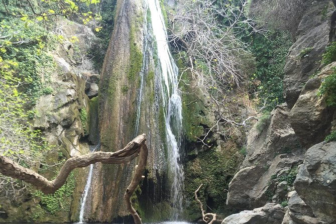 richtis-waterfall-minoan-history-oldest-tree-north-coast-luxury-adventure