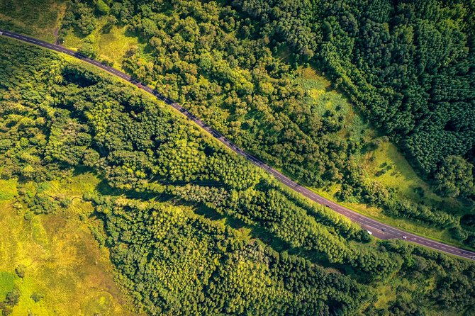 rickys-gateway-to-the-highlands-tour-2