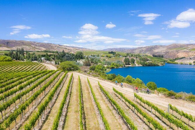 Ride and Wine Central Otago E bike Adventure - An In-Depth Look at the Ride and Wine Central Otago Tour