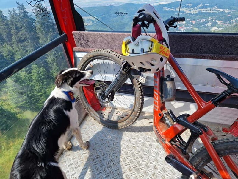 Ride Braovs Wild Trails with Daisy & Taste Local Life - An Unforgettable Ride Through Brasov’s Natural Beauty