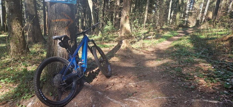 Ride Braovs Wild Trails with Daisy & Taste Local Life - Final Thoughts
