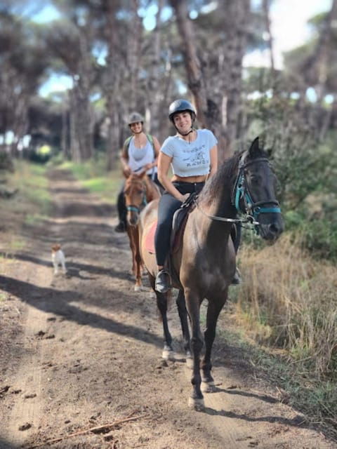 ride-in-rome-with-meal-and-wine-included