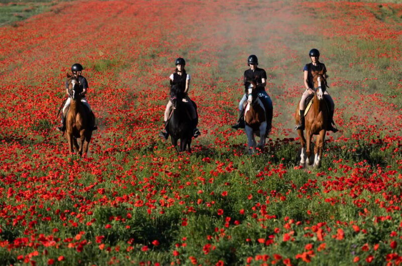 ride-in-rome-with-meal-and-wine-included