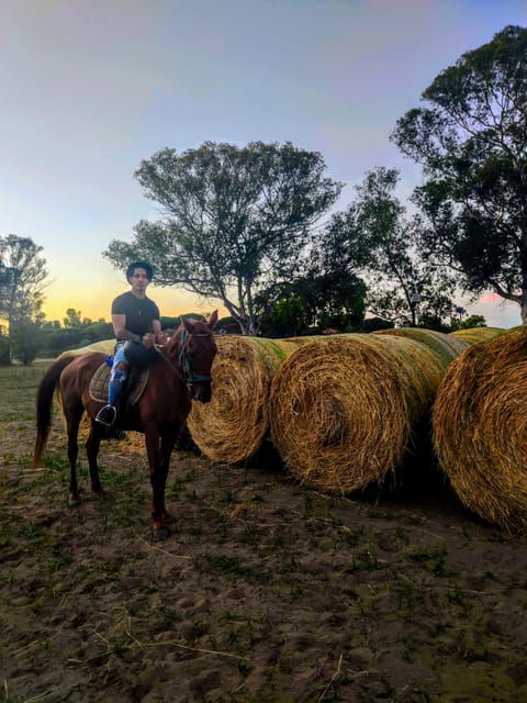 ride-in-rome-with-meal-and-wine-included