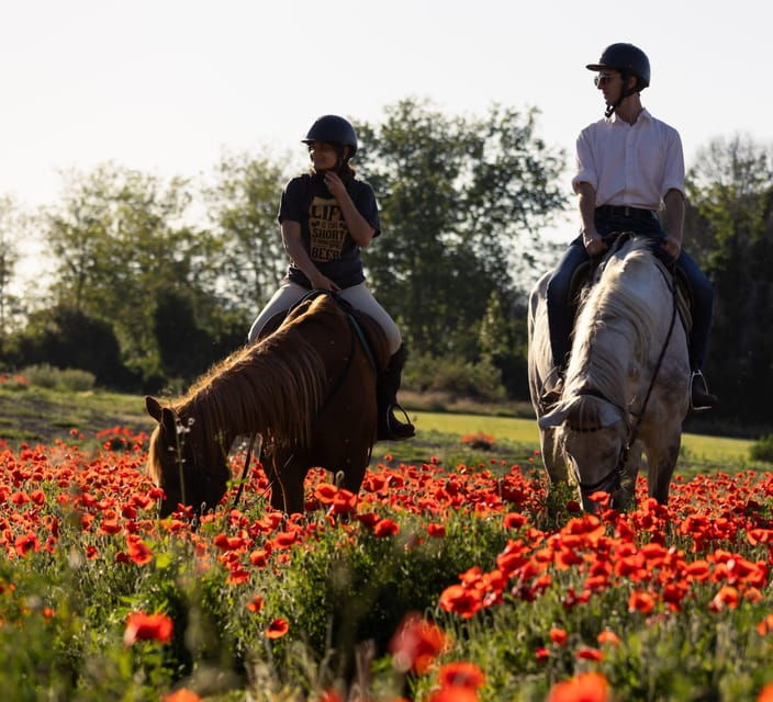 ride-in-rome-with-meal-and-wine-included