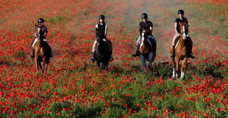 ride-in-rome-with-meal-and-wine-included