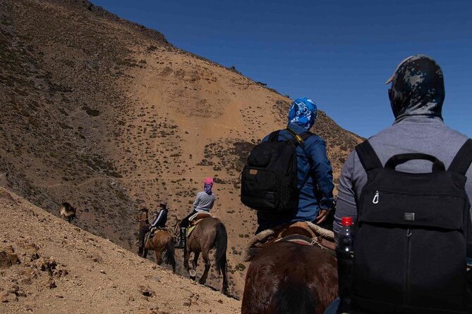 ride-in-the-semi-private-andes-with-roast